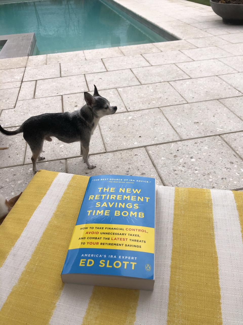 Chihuahua by pool and the book The New Retirement savings Time Bomb